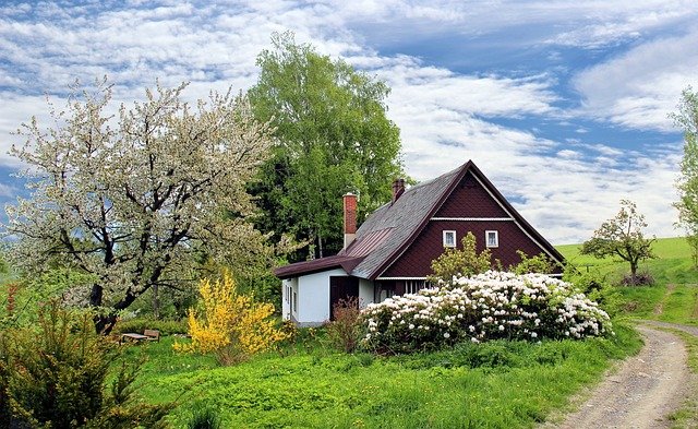 studio de jardin